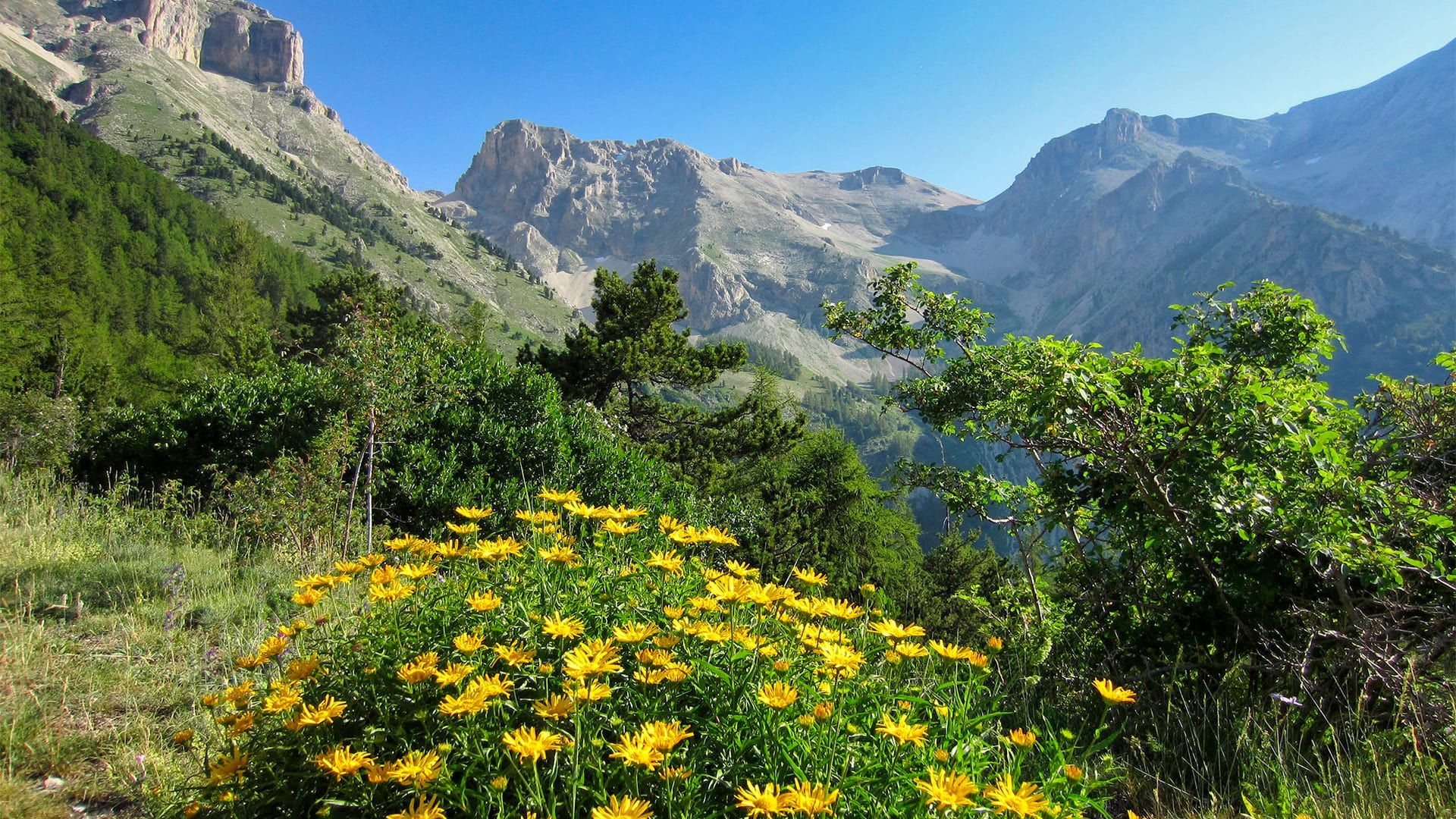 © Jean-Bernard Gache Paysage du Dévoluy - Hautes-Alpes - France
