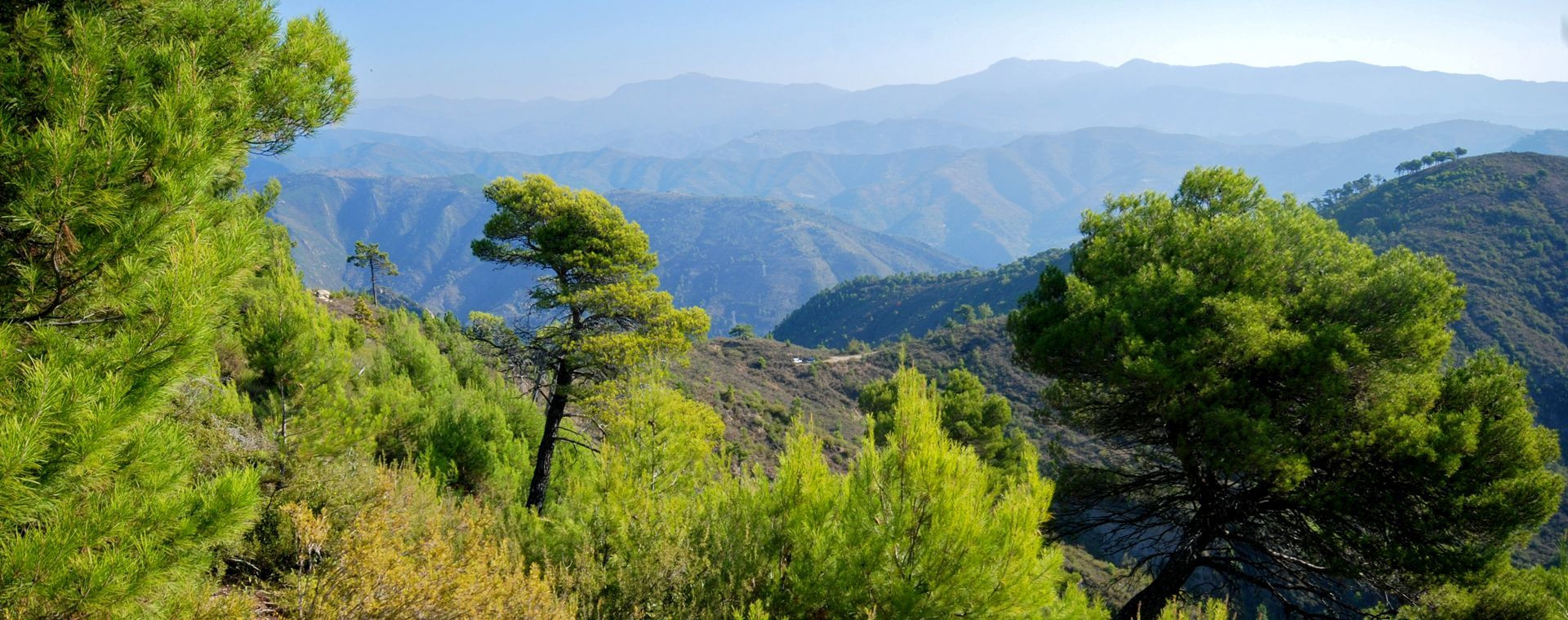 Paysage de Ligurie - Italie