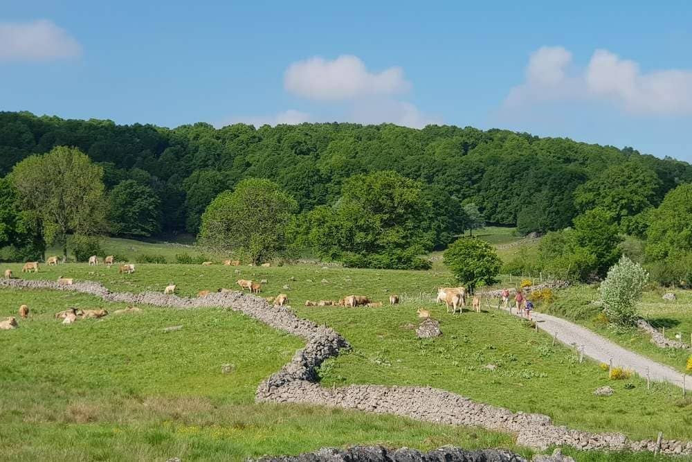© Anne-Marie Billault Le plateau d'Aubrac © Anne-Marie Billault
