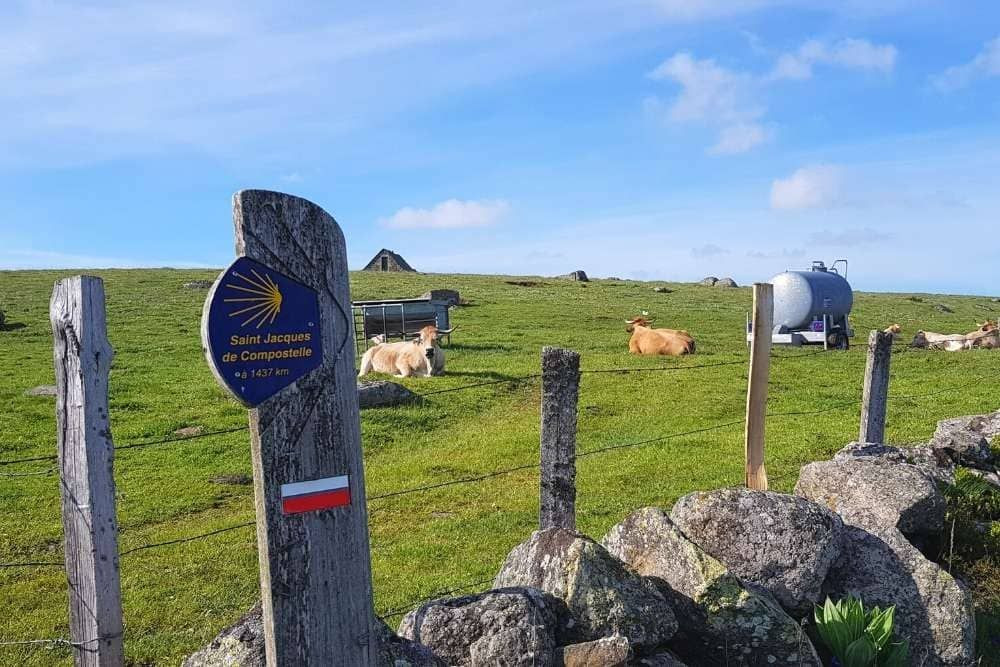 © Anne-Marie Billault Le plateau de l'Aubrac © Anne-Marie Billault