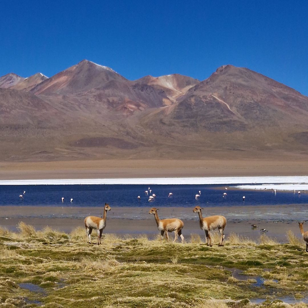 © Guillaume Lorimier Le Sud Lipez, région désertique dans la partie andine de la Bolivie © Guillaume Lorimier