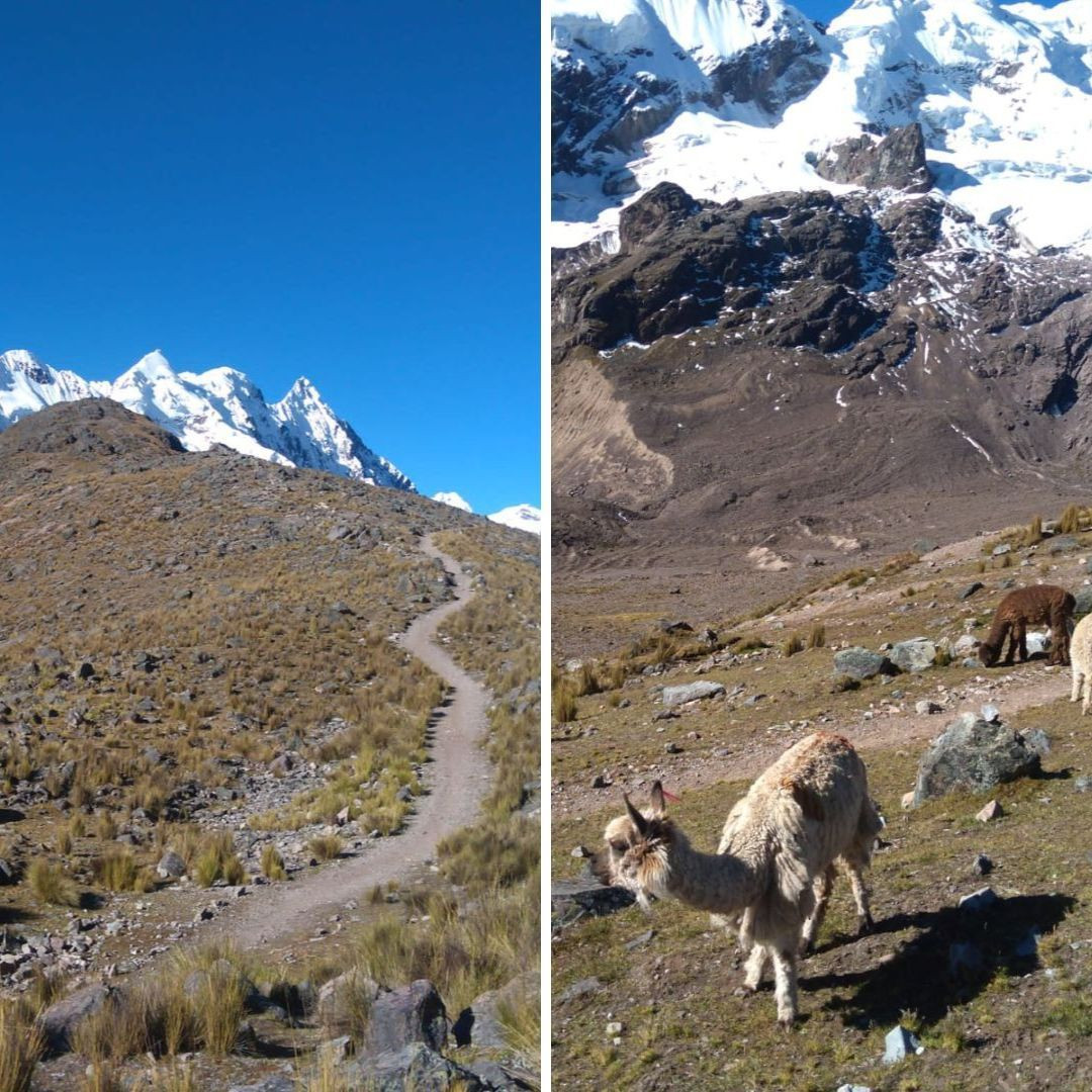 Le trek de l'Ausangate et petit troupeau de lamas © Laura Kankaanpaa