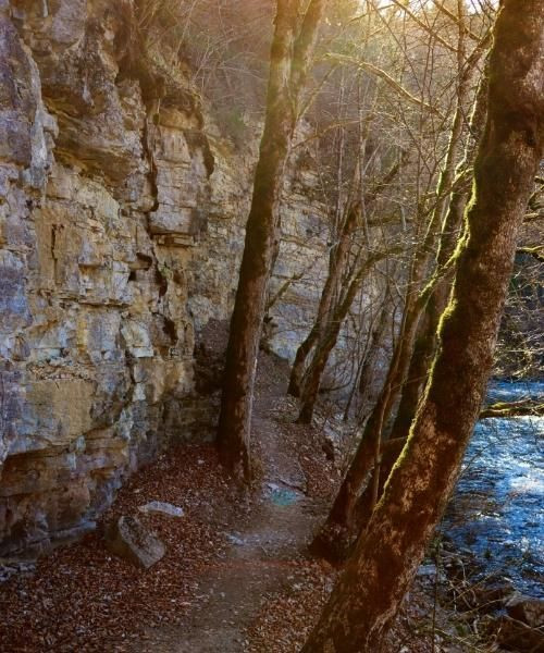 les_gorges_dwutach_dans_la_foret_noire_c_unsplash_.jpg