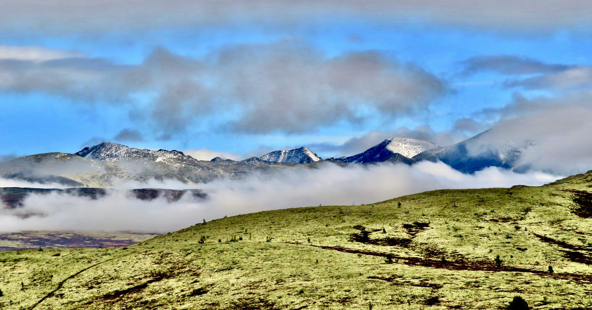 Les montagnes de Rondane en Norvége