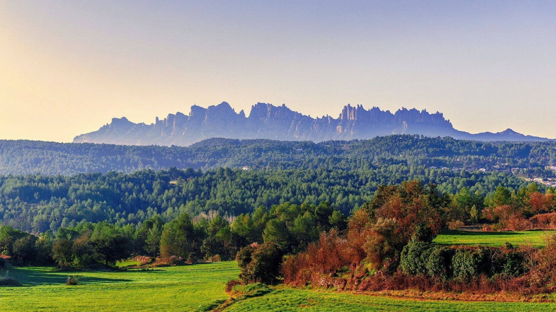 Massif de Montserrat au-dessus des collines boisées - Catalogne - Espagne