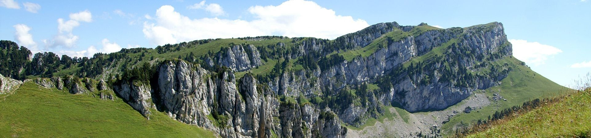 Falaises calcaires et alpages verdoyants - Massif de la Chartreuse - Alpes françaises