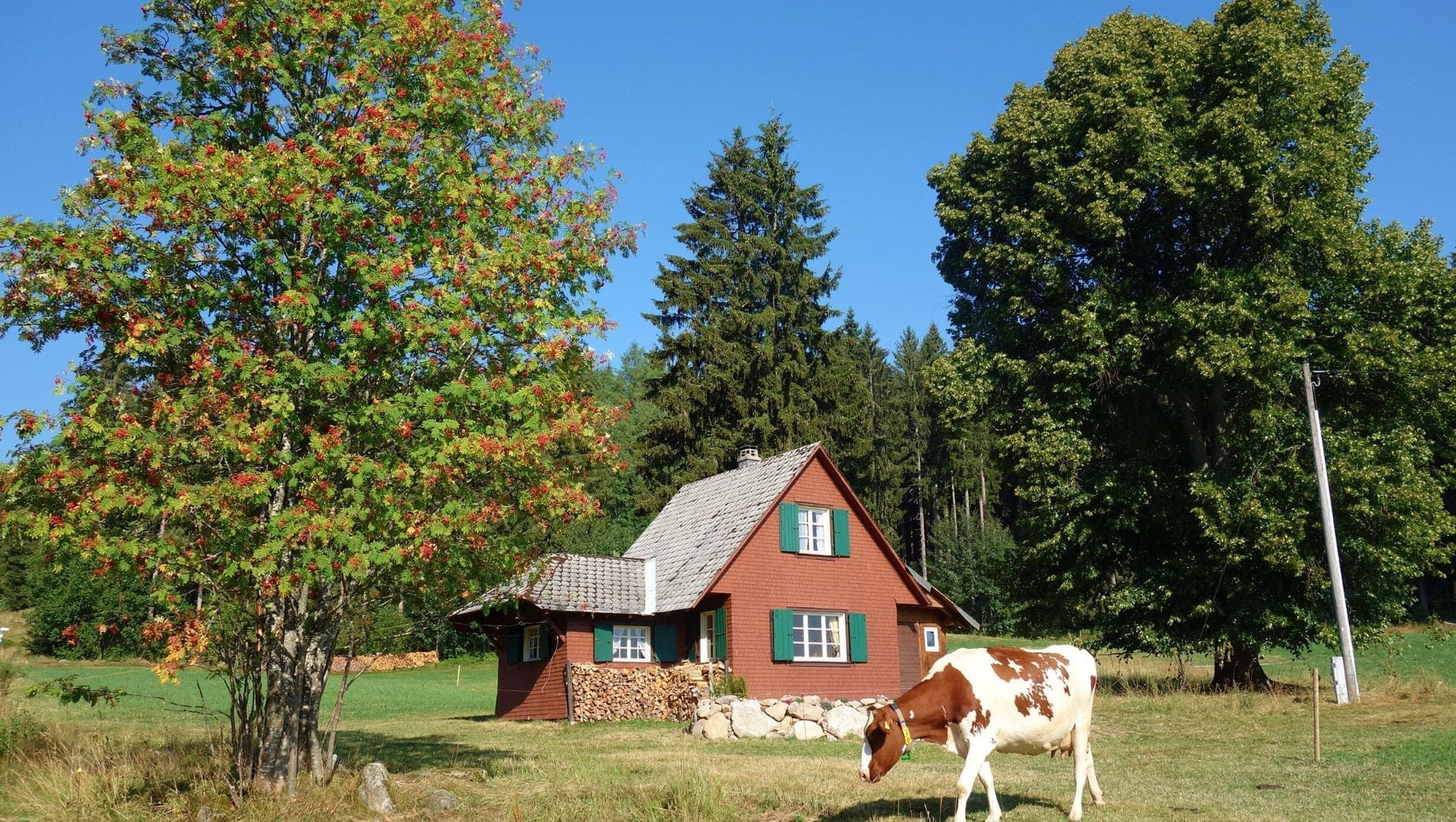 Maison Hinterzarten C Raymond Chabanier - Allemagne