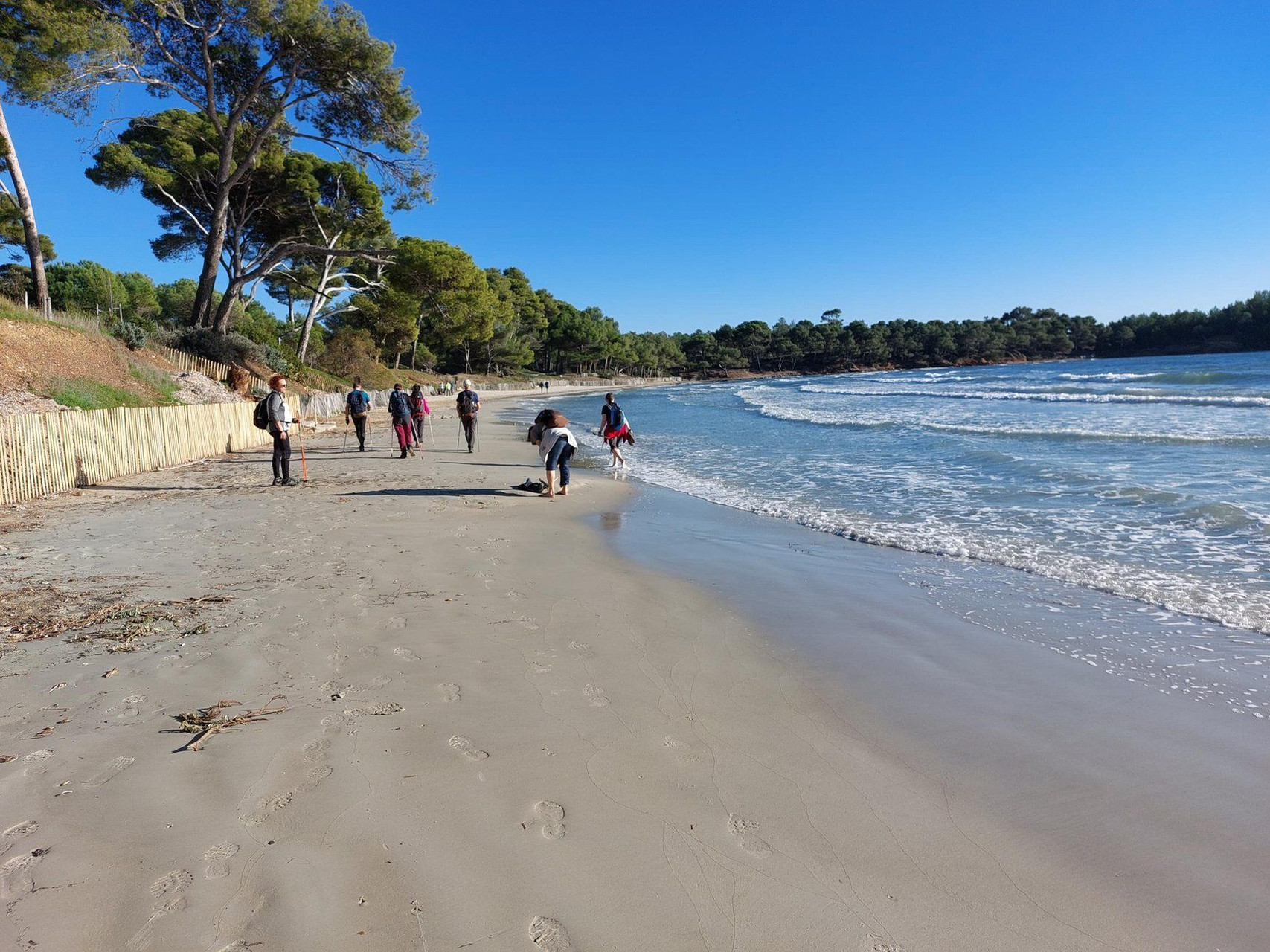 Randonneurs sur une plage bordée de pins - Guérande - Bretagne