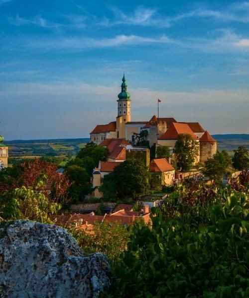 © Pixabay mikulov_c_pixabay_.jpg
