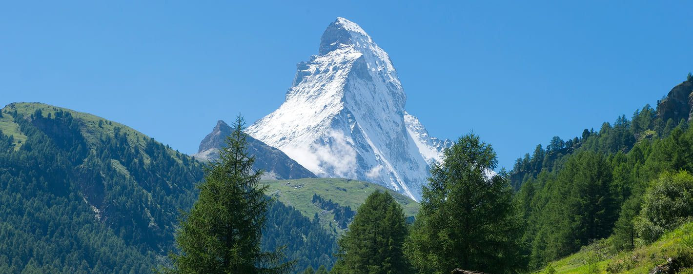 Le mont Cervin enneigé au-dessus des mélèzes - Zermatt - Suisse