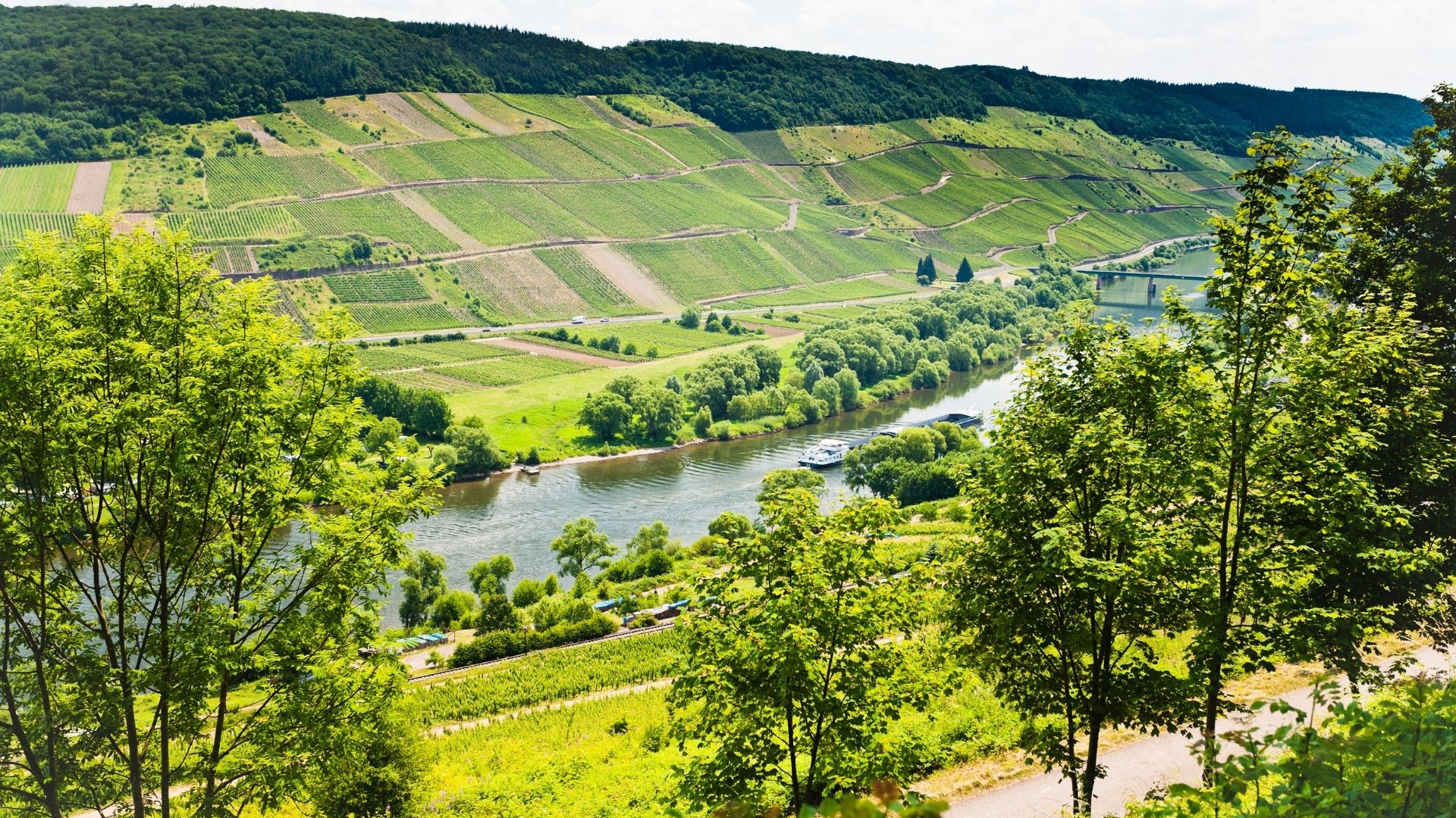 Moselle route des vins article route des vins