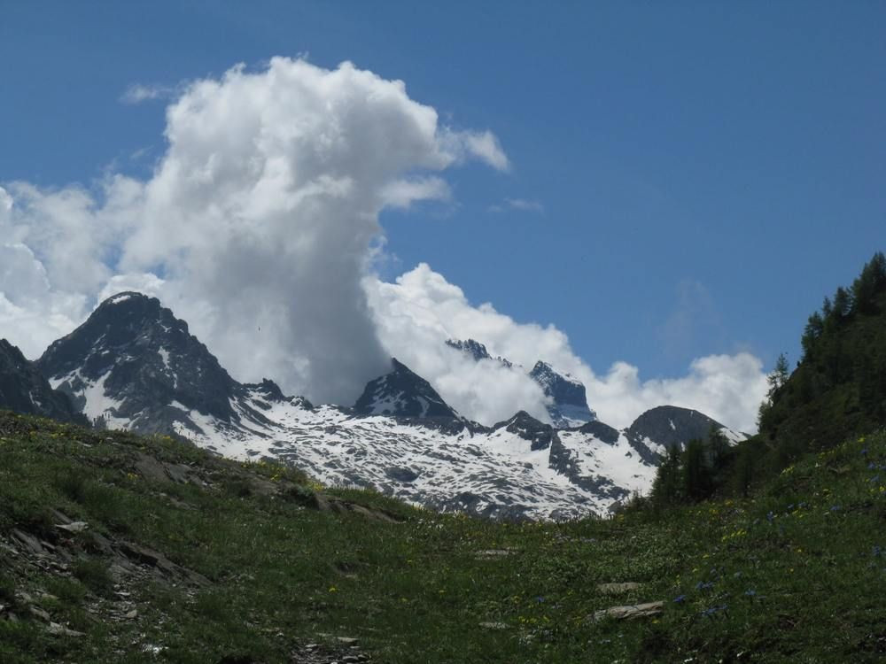 © Marc Laurans Sommets enneigés et alpages fleuris - Alpes - France