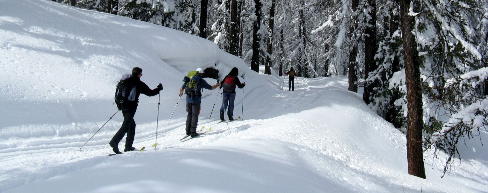 Skieurs de randonnée nordique en forêt - Trace des Escartons - Hautes-Alpes - France