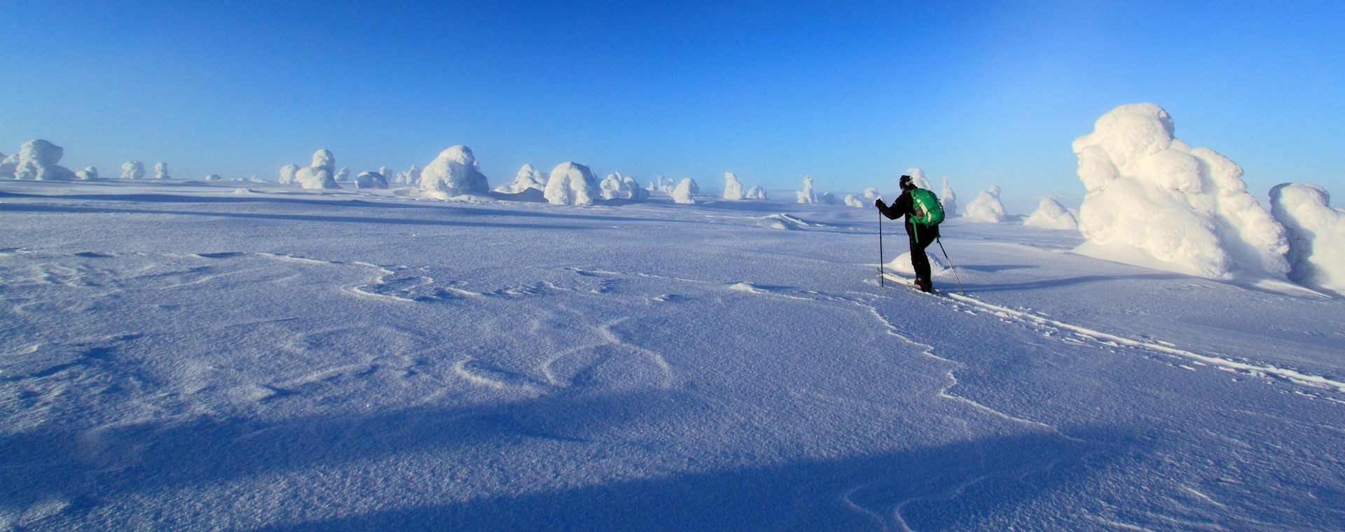 Ski de randonnée nordique sur le plateau givré - Nord de la Laponie, Finlande