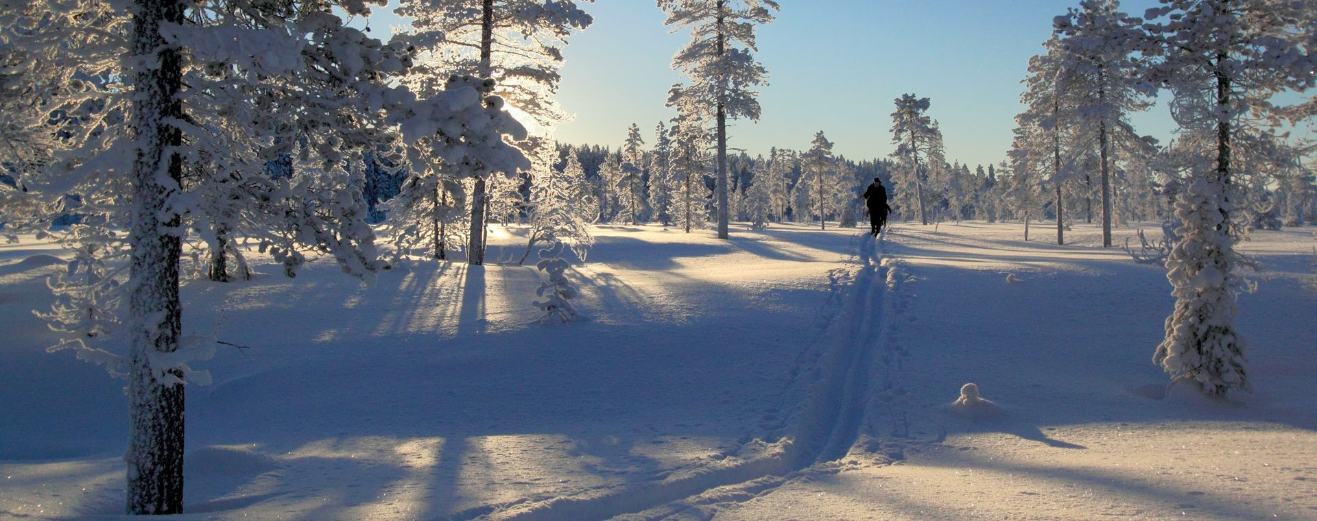Ski nordique à Pallas-Yllästunturi - Laponie - Finlande (2)