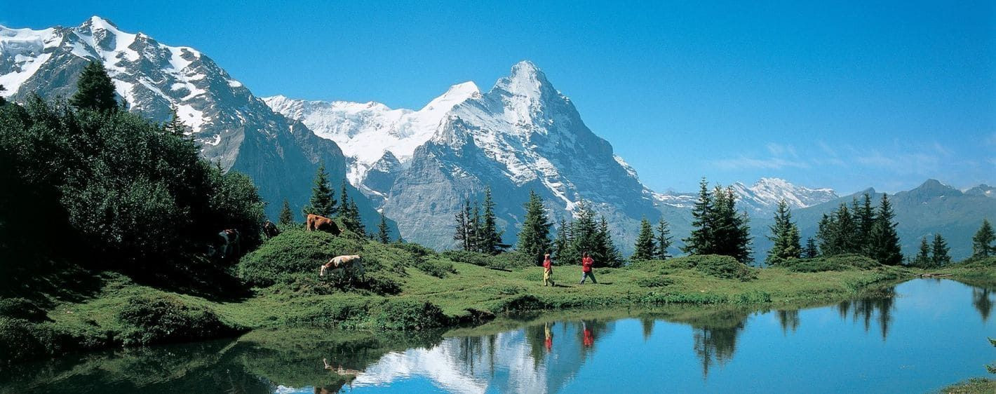 Oberland 6 - Suisse
