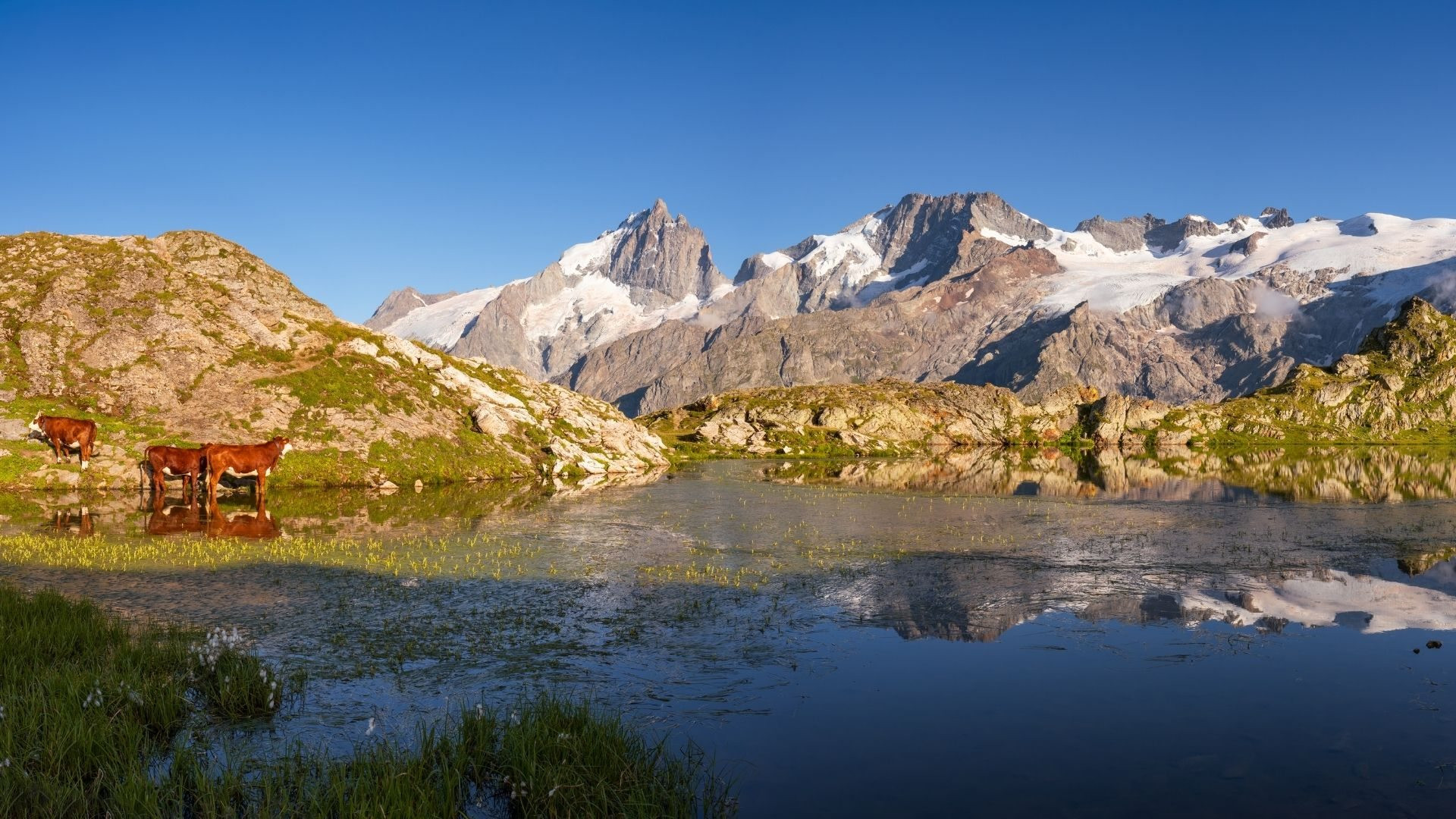 oisans et ecrins ou partir dans les alpes du nord cet ete