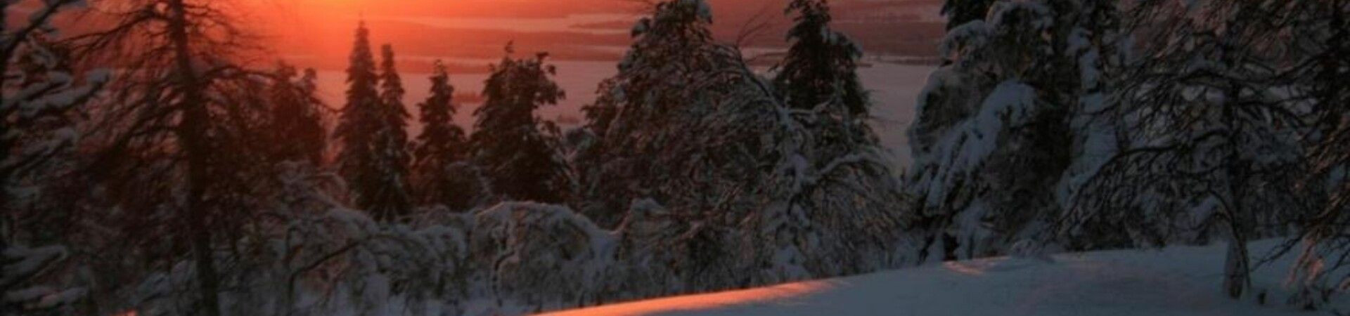 Coucher de soleil orangé sur forêt enneigée - Laponie - Finlande