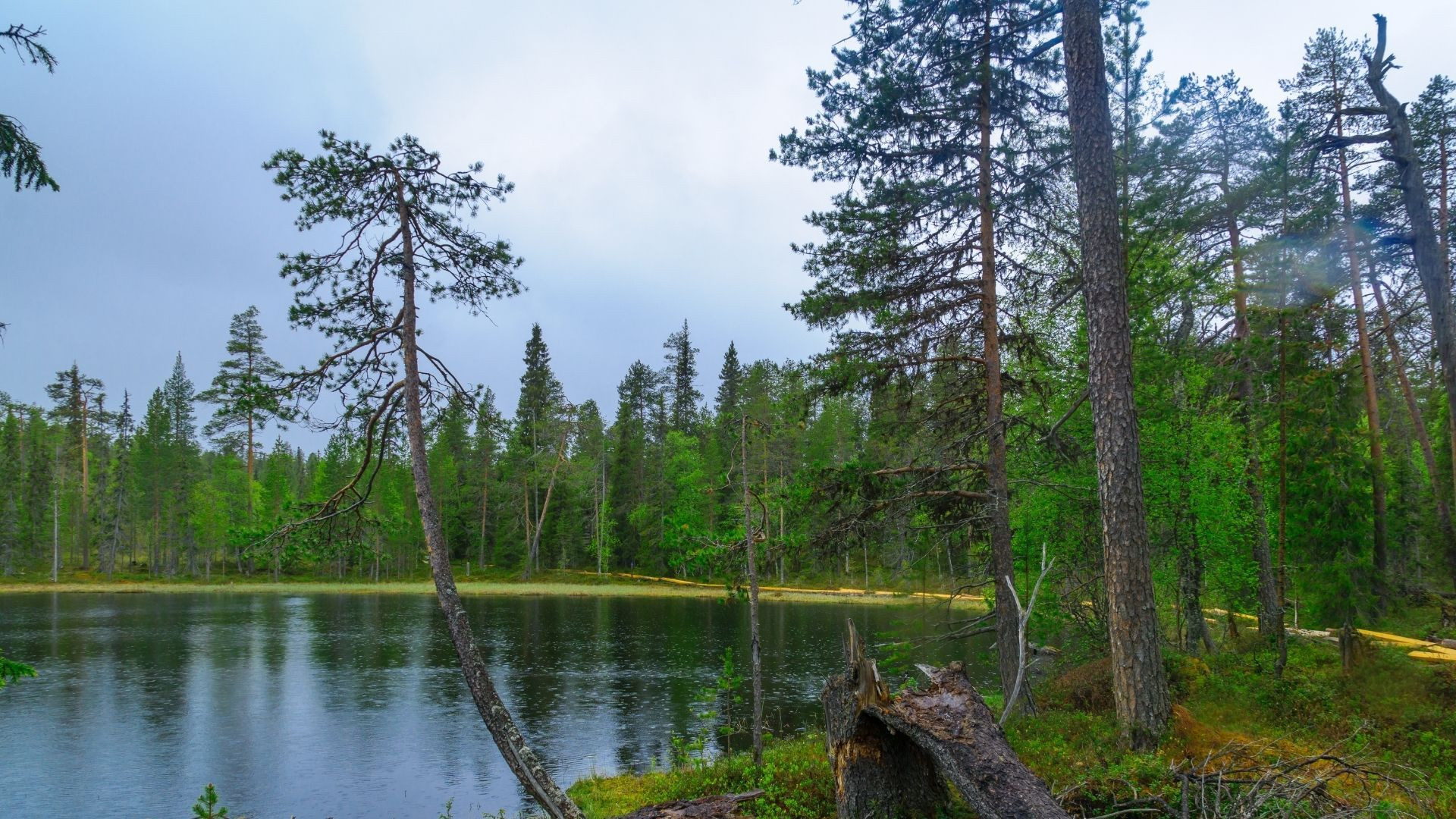 parc national d'Oulanka en finlande