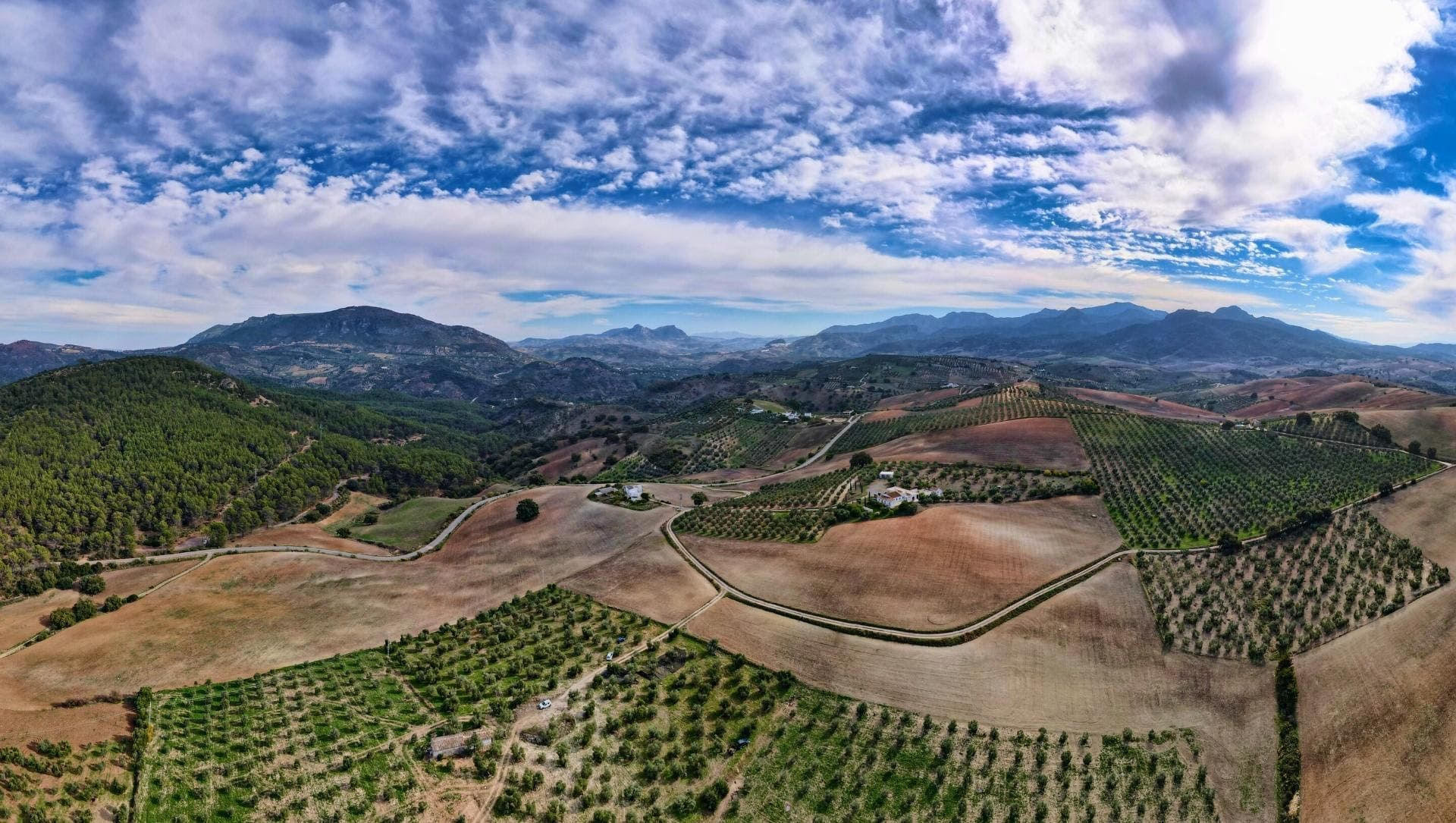 © David Praire Panorama des collines et oliveraies d'Andalousie - Espagne