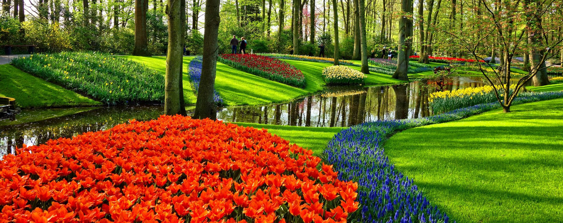 Parc Floral Keukenhof - Pays-Bas