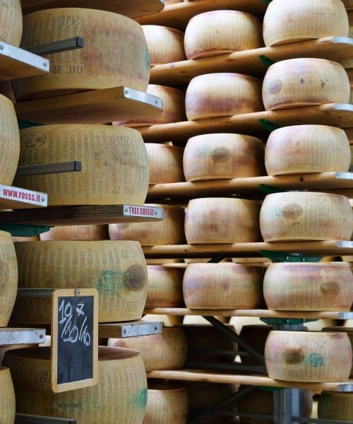 Meules de parmesan en affinage dans une cave - Italie