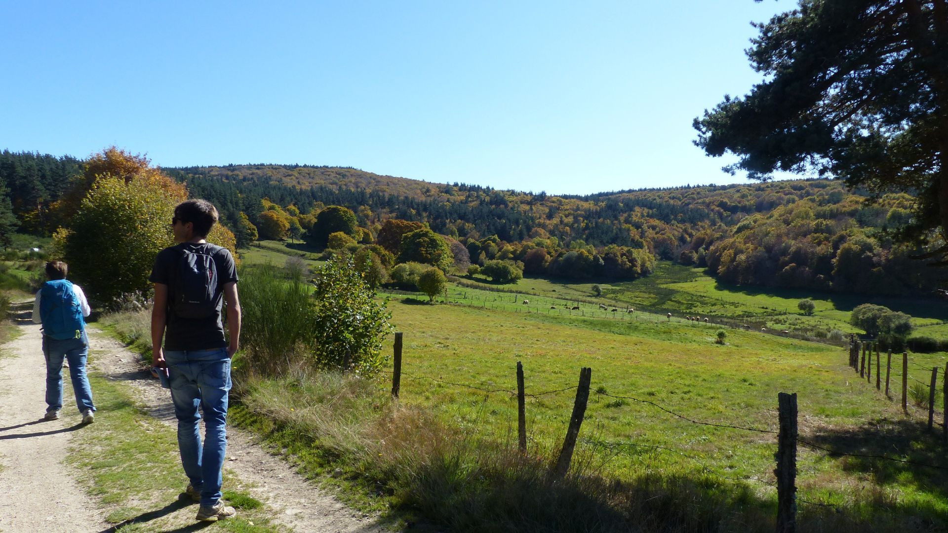 Randonneurs sur un chemin de campagne - Cévennes - France