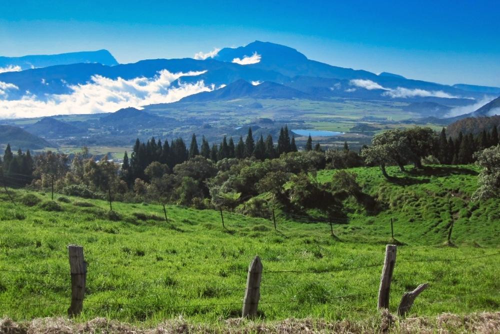© Yvonne Toussaint Vue sur le Piton des Neiges depuis la Plaine des Cafres © Yvonne Toussaint