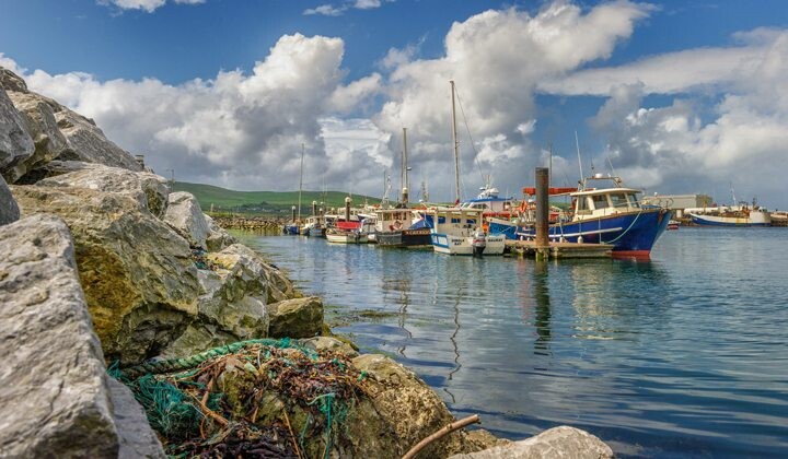 port-dingle