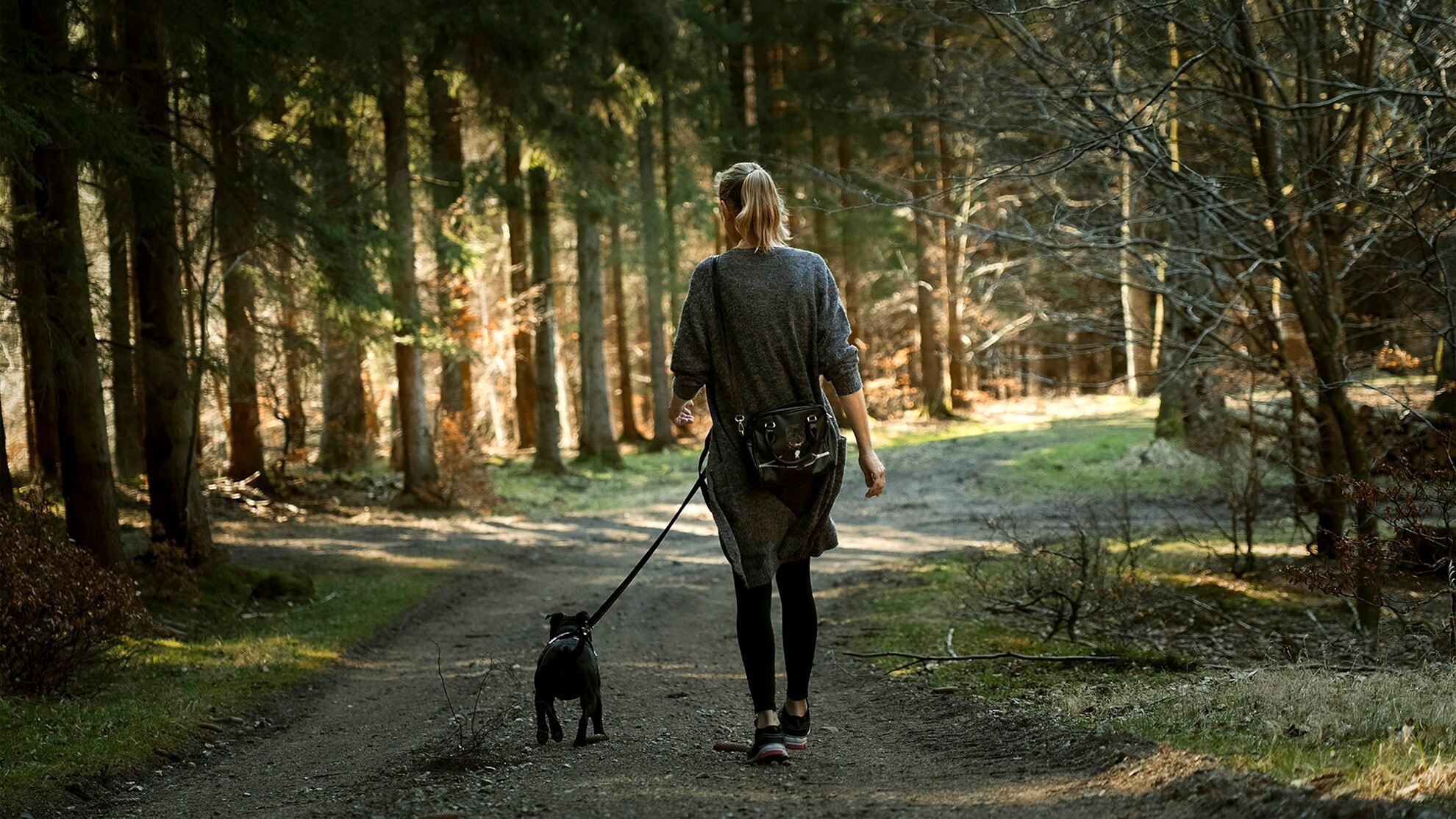 Promenade avec un chien en laisse sur un chemin boise