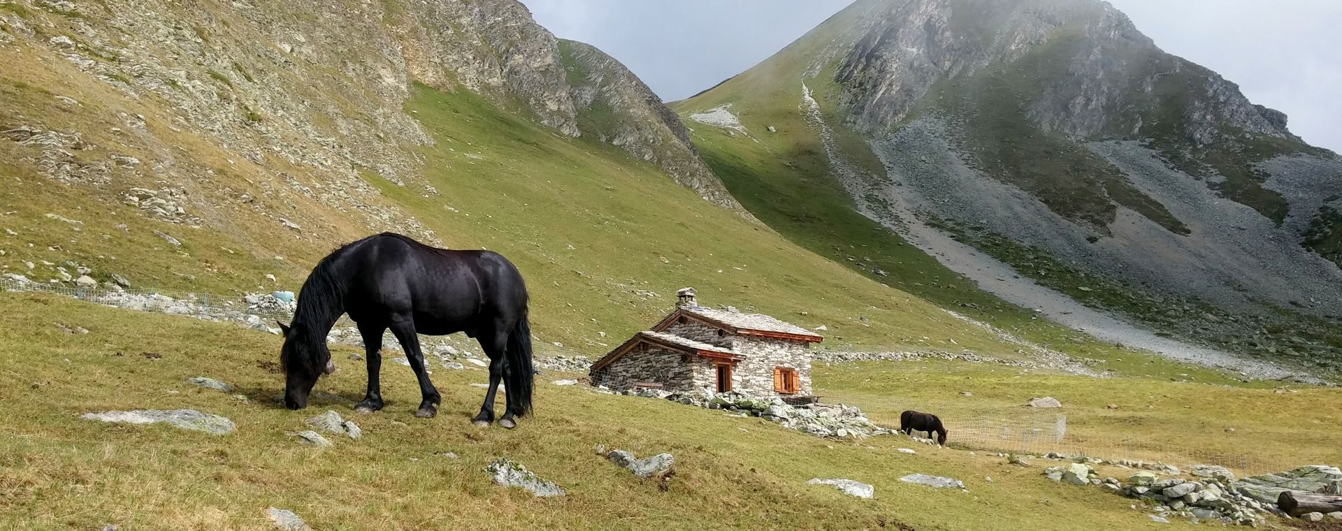 Cheval et chalet de pierre en alpage - Massif de la Vanoise - Alpes françaises