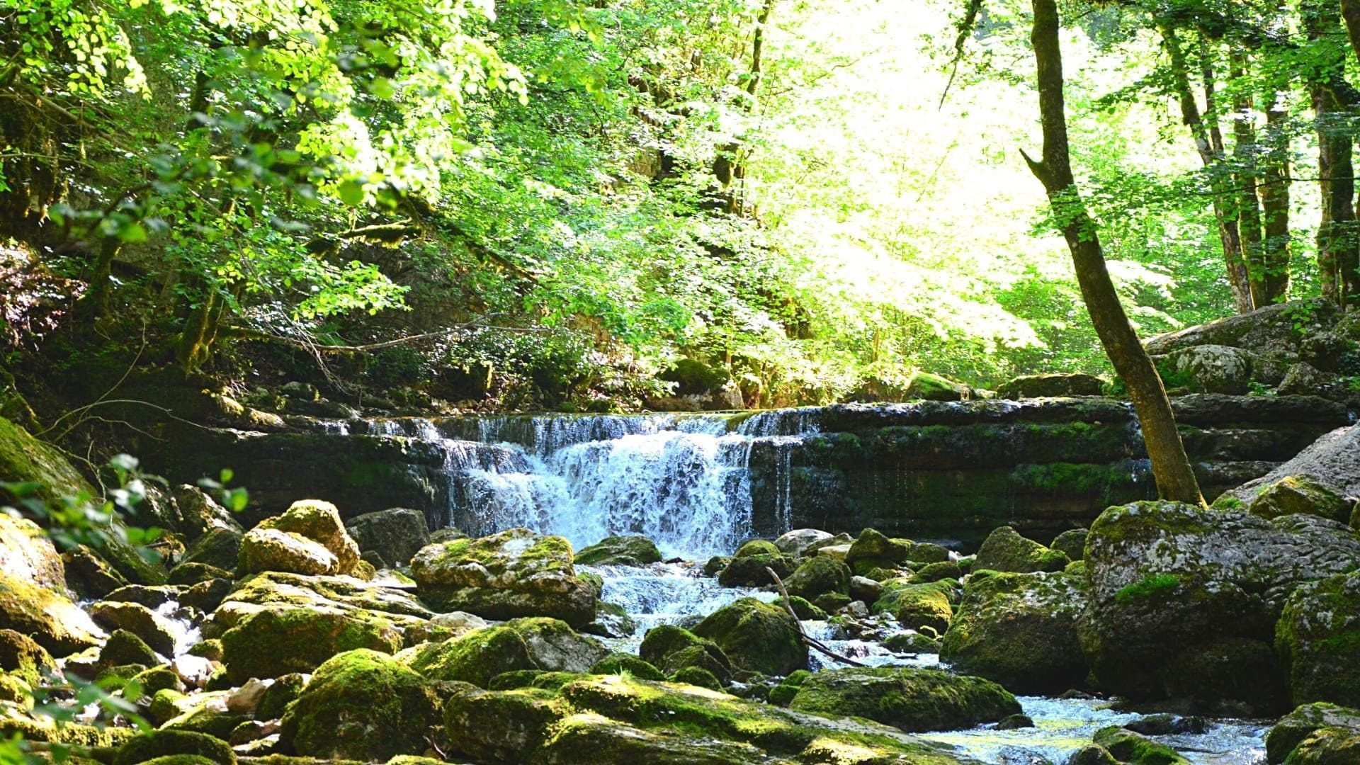© Quentin Vanaker riviere_dans_le_jura_c_quentin_vanaker.jpg