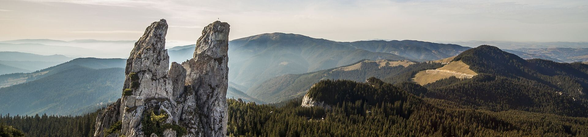 Pics rocheux et montagnes boisées des Carpates - Roumanie