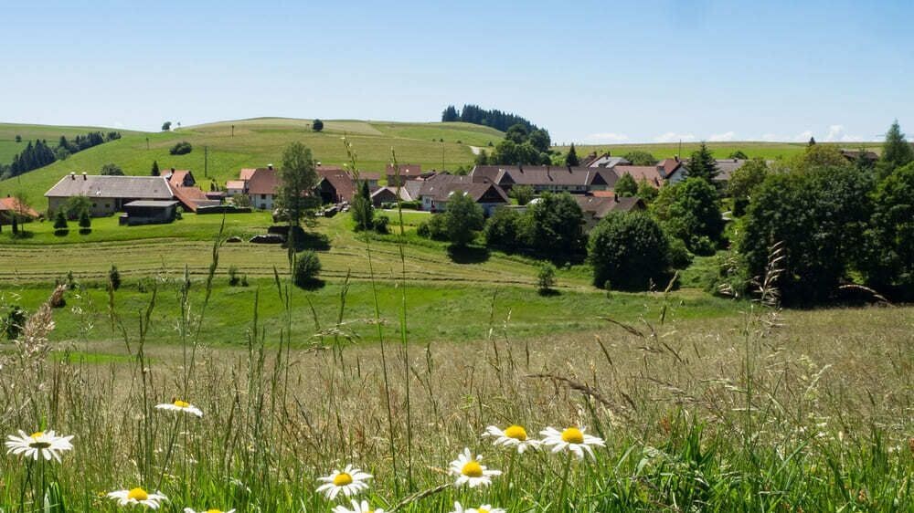 Campagne vallonnée et village - Forêt-Noire - Allemagne