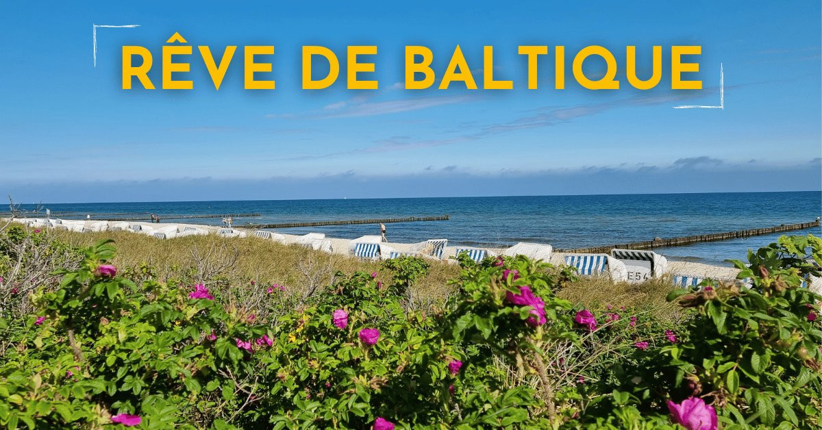 Plage aux rosiers et cabines de plage - Mer Baltique