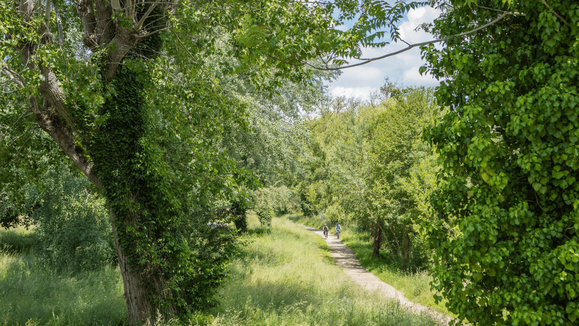 Saint Savinien La Flow Vélo (1) - France