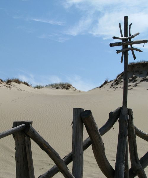 Dunes de sable - Lituanie