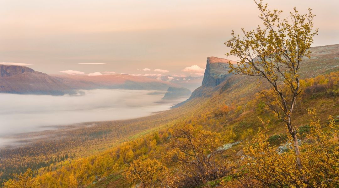 Parc National de Sarek