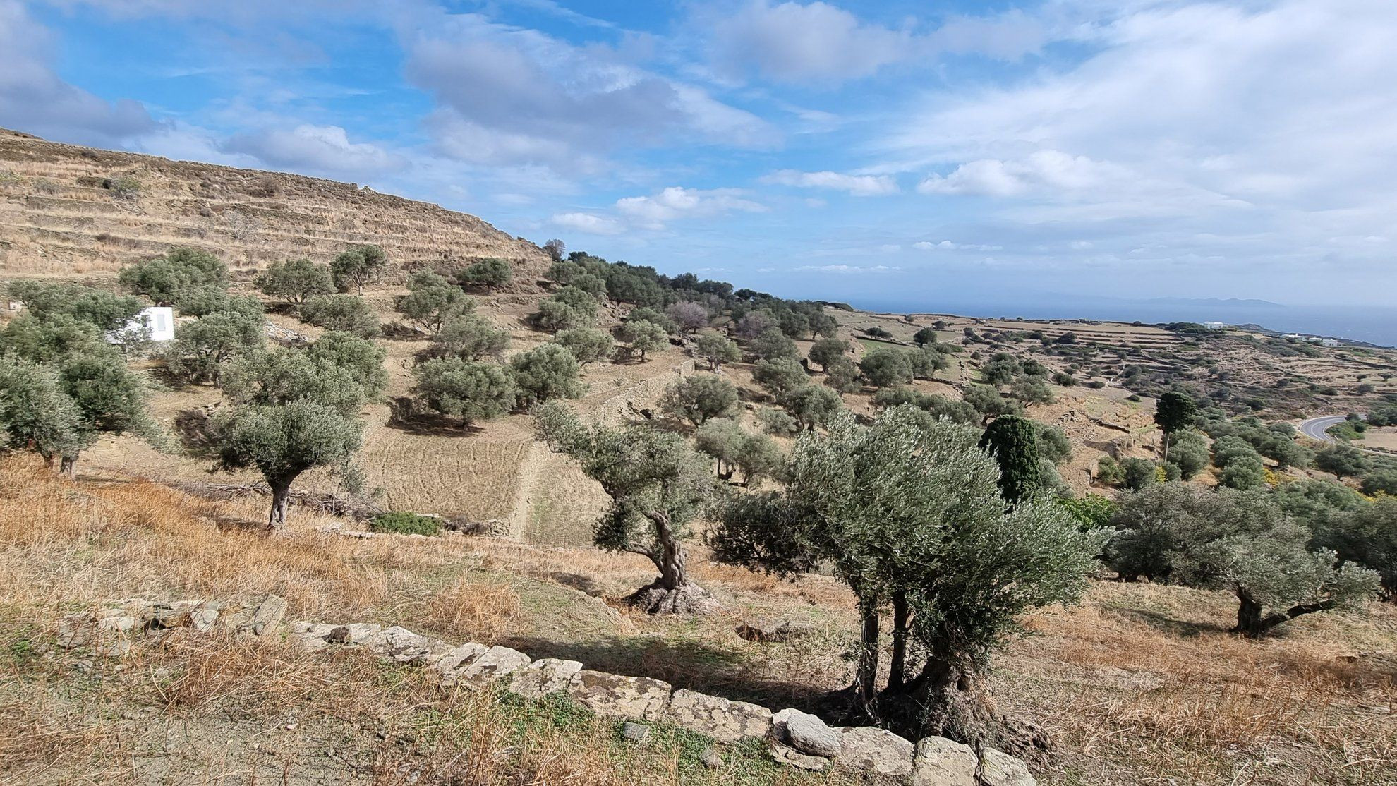 © Anne-Marie Billault Sifnos © Anne-Marie Billault