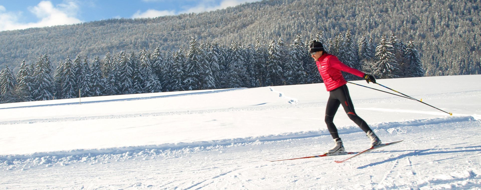 Ski de fond en skating - Parc naturel régional du Vercors - France