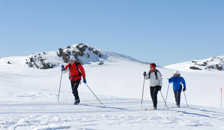 Ski de fond skating - Parc du Vercors - Alpes, France