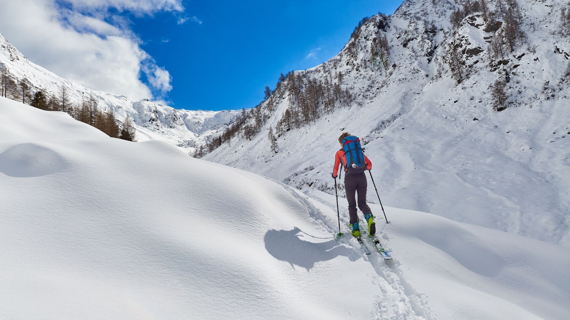 ski de randonnée, différence entre tous les skis
