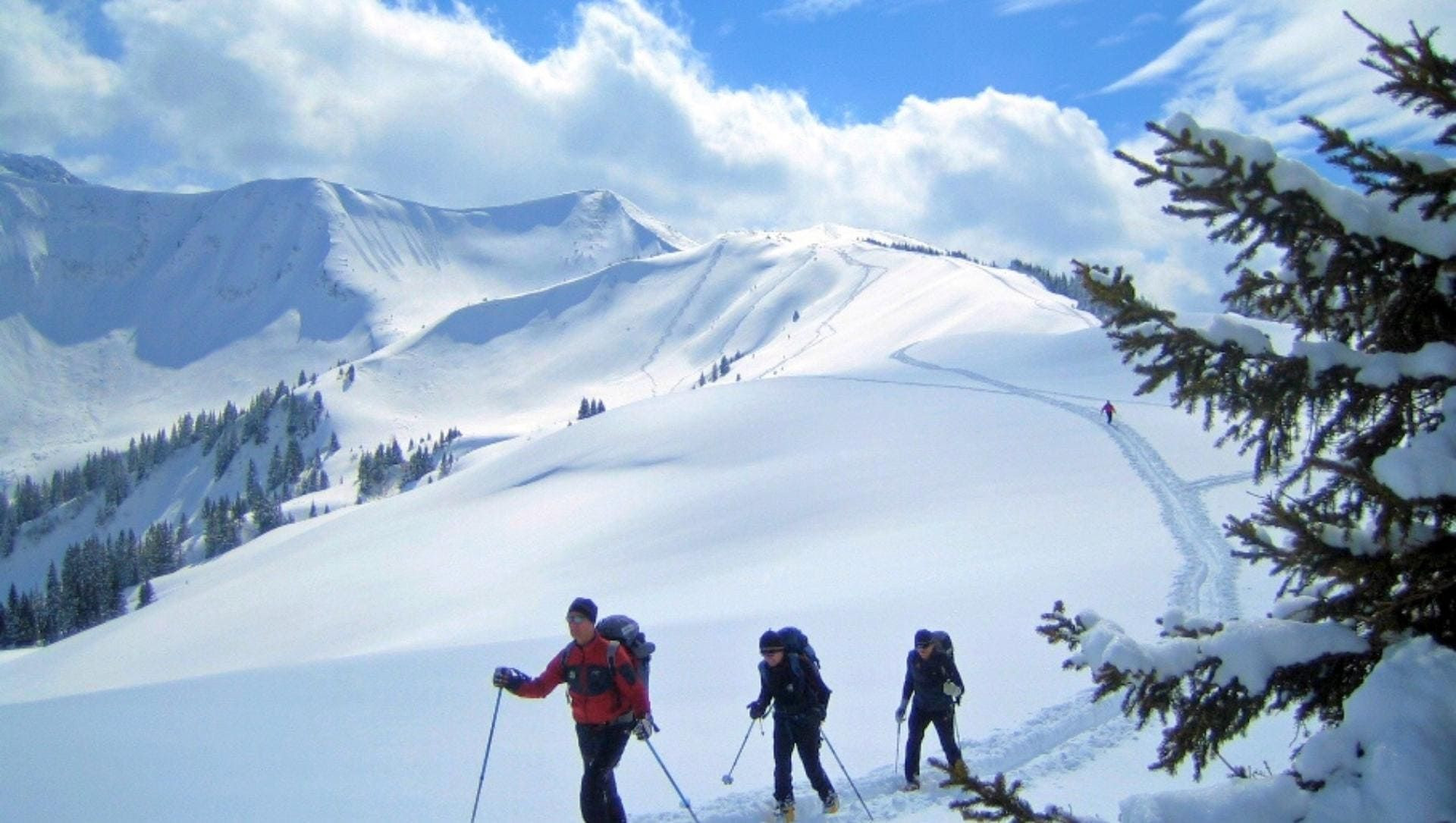 © Monika Albrecht Ski de randonnée sur une pente enneigée - Alpes