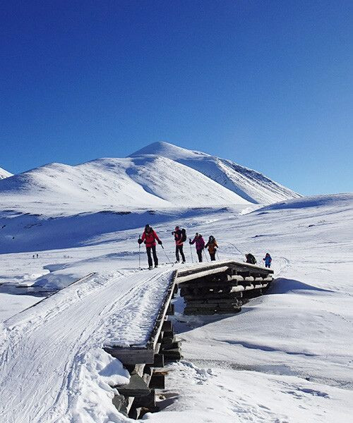 Skieurs traversant un pont dans le Rondane - Norvège