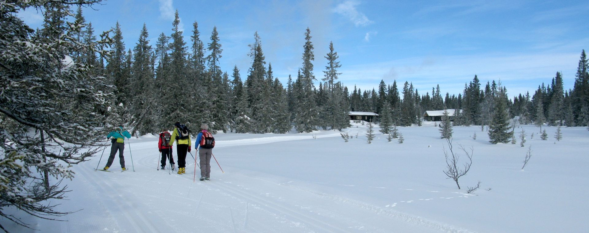 Skieurs De Fond Sjusjoen - Norvège
