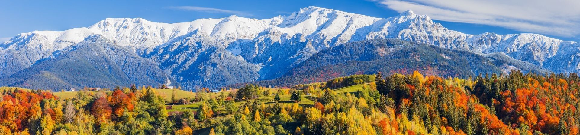 Montagnes enneigées et forêts d'automne - Carpates - Roumanie