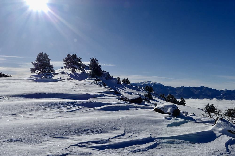 © Michel Madré Plateau enneigé au soleil - Cerdagne - Pyrénées - France