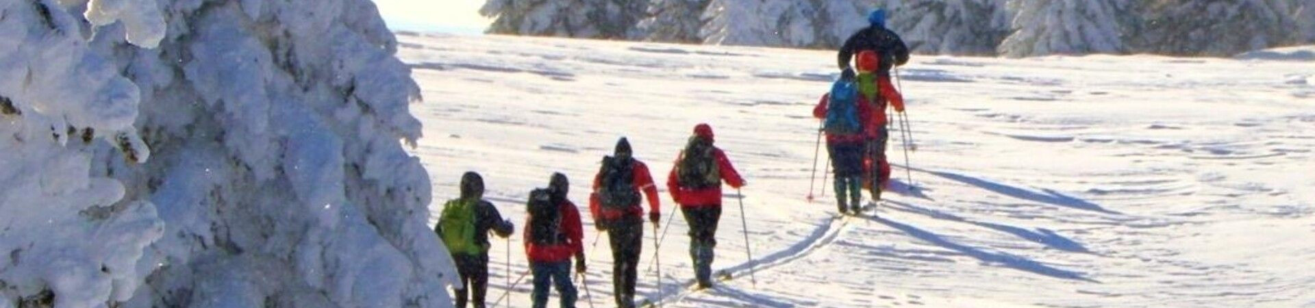 Groupe en raquettes traversant un plateau enneigé - Massif du Jura - France