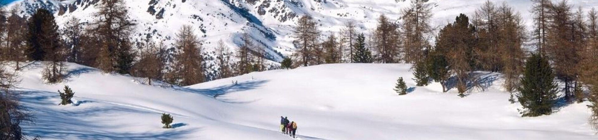 Randonneurs en raquettes dans un paysage alpin enneigé - Montagnes - Italie