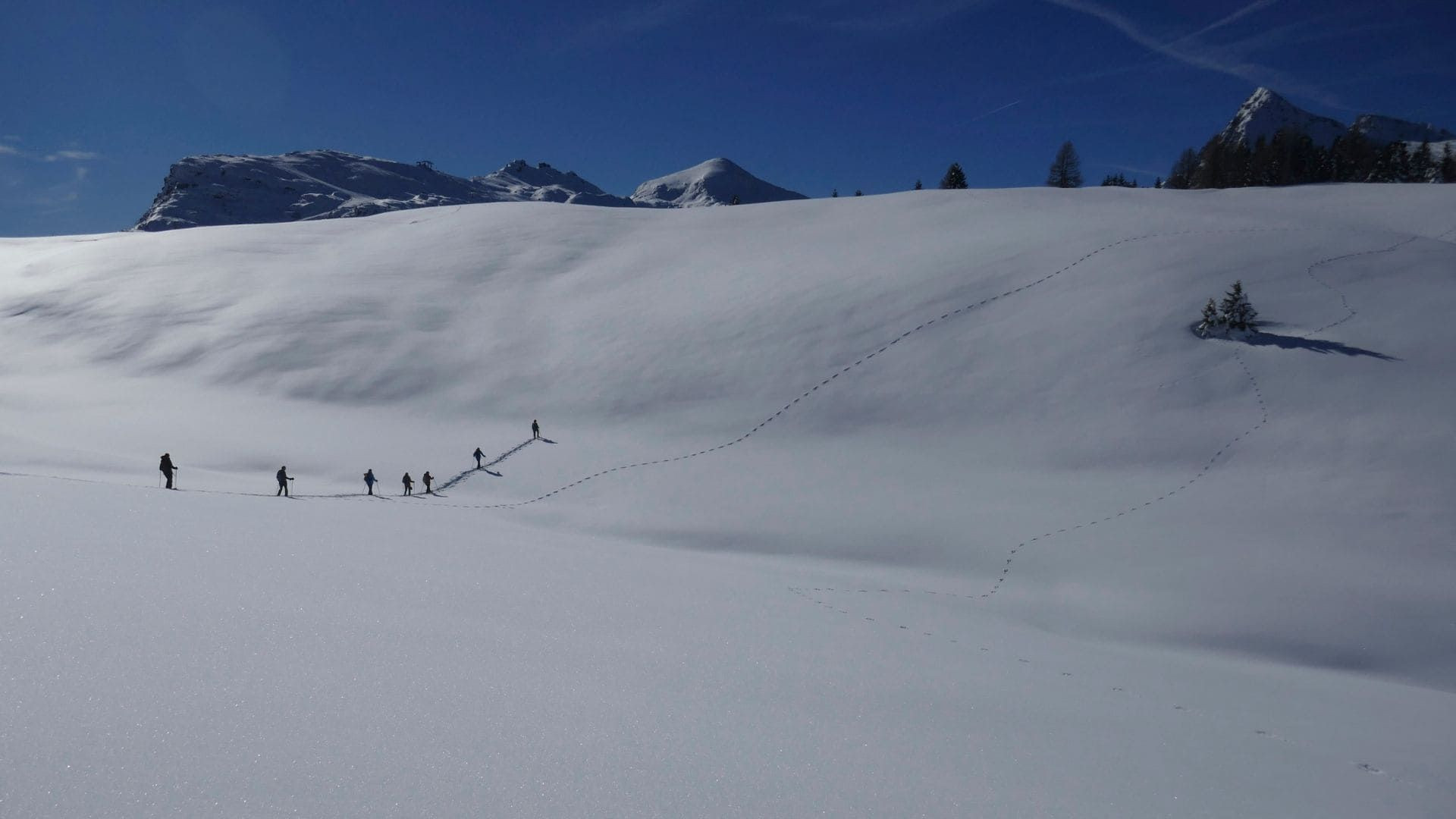 © Anne Moraw Randonnée en raquettes sur plateau enneigé - Dolomites - Italie